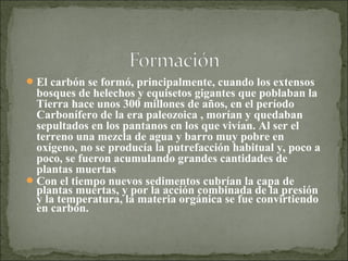 El carbón se formó, principalmente, cuando los extensos
bosques de helechos y equisetos gigantes que poblaban la
Tierra hace unos 300 millones de años, en el período
Carbonífero de la era paleozoica , morían y quedaban
sepultados en los pantanos en los que vivían. Al ser el
terreno una mezcla de agua y barro muy pobre en
oxígeno, no se producía la putrefacción habitual y, poco a
poco, se fueron acumulando grandes cantidades de
plantas muertas
Con el tiempo nuevos sedimentos cubrían la capa de
plantas muertas, y por la acción combinada de la presión
y la temperatura, la materia orgánica se fue convirtiendo
en carbón.
 