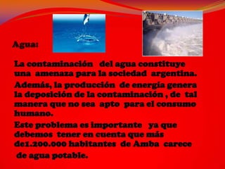 La contaminación del agua constituye
una amenaza para la sociedad argentina.
Además, la producción de energía genera
la deposición de la contaminación , de tal
manera que no sea apto para el consumo
humano.
Este problema es importante ya que
debemos tener en cuenta que más
de1.200.000 habitantes de Amba carece
 de agua potable.
 