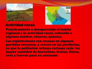 Prácticamente a desaparecido el habito
regional a la actividad rural, reducida a
algunos tambos, chacras, quintas.
Las explotaciones son escasas en algunos
partidos cercanos, y crecen en las periferias,
ya que la población urbana reclama cada vez
mayor cantidad de hortalizas, frutas, flores,
aves y huevos para su consumo.
 