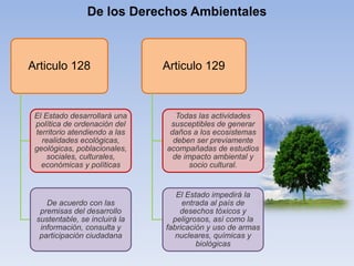 De los Derechos Ambientales
Articulo 128
El Estado desarrollará una
política de ordenación del
territorio atendiendo a las
realidades ecológicas,
geológicas, poblacionales,
sociales, culturales,
económicas y políticas
De acuerdo con las
premisas del desarrollo
sustentable, se incluirá la
información, consulta y
participación ciudadana
Articulo 129
Todas las actividades
susceptibles de generar
daños a los ecosistemas
deben ser previamente
acompañadas de estudios
de impacto ambiental y
socio cultural.
El Estado impedirá la
entrada al país de
desechos tóxicos y
peligrosos, así como la
fabricación y uso de armas
nucleares, químicas y
biológicas
 