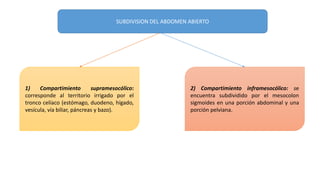SUBDIVISION DEL ABDOMEN ABIERTO
1) Compartimiento supramesocólico:
corresponde al territorio irrigado por el
tronco celíaco (estómago, duodeno, hígado,
vesícula, vía biliar, páncreas y bazo).
2) Compartimiento inframesocólico: se
encuentra subdividido por el mesocolon
sigmoides en una porción abdominal y una
porción pelviana.
 