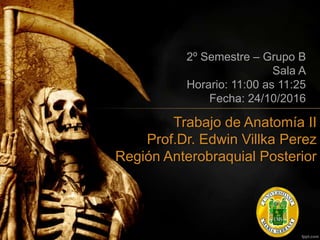 Trabajo de Anatomía II
Prof.Dr. Edwin Villka Perez
Región Anterobraquial Posterior
2º Semestre – Grupo B
Sala A
Horario: 11:00 as 11:25
Fecha: 24/10/2016
 