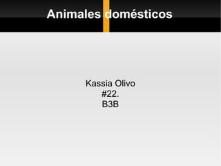 Animales domésticos Kassia Olivo #22. B3B 