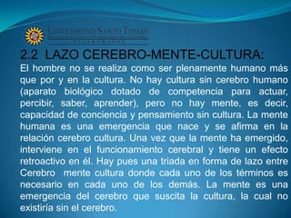 2.2 LAZO CEREBRO-MENTE-CULTURA:
El hombre no se realiza como ser plenamente humano más
que por y en la cultura. No hay cultura sin cerebro humano
(aparato biológico dotado de competencia para actuar,
percibir, saber, aprender), pero no hay mente, es decir,
capacidad de conciencia y pensamiento sin cultura. La mente
humana es una emergencia que nace y se afirma en la
relación cerebro cultura. Una vez que la mente ha emergido,
interviene en el funcionamiento cerebral y tiene un efecto
retroactivo en él. Hay pues una triada en forma de lazo entre
Cerebro mente cultura donde cada uno de los términos es
necesario en cada uno de los demás. La mente es una
emergencia del cerebro que suscita la cultura, la cual no
existiría sin el cerebro.
 