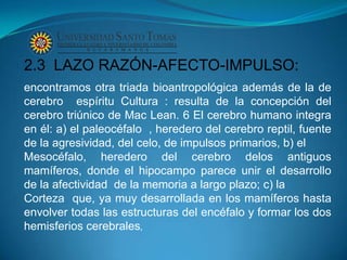 2.3 LAZO RAZÓN-AFECTO-IMPULSO:
encontramos otra triada bioantropológica además de la de
cerebro espíritu Cultura : resulta de la concepción del
cerebro triúnico de Mac Lean. 6 El cerebro humano integra
en él: a) el paleocéfalo , heredero del cerebro reptil, fuente
de la agresividad, del celo, de impulsos primarios, b) el
Mesocéfalo, heredero del cerebro delos antiguos
mamíferos, donde el hipocampo parece unir el desarrollo
de la afectividad de la memoria a largo plazo; c) la
Corteza que, ya muy desarrollada en los mamíferos hasta
envolver todas las estructuras del encéfalo y formar los dos
hemisferios cerebrales,
 