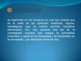 se hipertrofia en los humanos en una neo corteza que
es la sede de las aptitudes analíticas, lógicas,
estratégicas que la cultura permite actualizar
plenamente. Así, nos aparece otra faz de la
complejidad humana que integra la animalidad
(mamífero y reptil) en la humanidad y la humanidad en
la animalidad. Las relaciones entre las tres
 