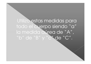 Utilizo estas medidas para
todo el cuerpo siendo “a”
la medida aúrea de “A”,
“b” de “B” y “c” de “C”.
 
