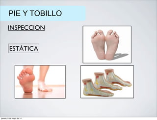 PIE Y TOBILLO
INSPECCION
ESTÁTICA
jueves, 8 de mayo de 14
 