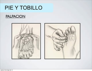 PIE Y TOBILLO
PALPACION
jueves, 8 de mayo de 14
 