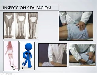 INSPECCIONY PALPACION
jueves, 8 de mayo de 14
 