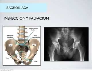 SACROILIACA
INSPECCIONY PALPACION
jueves, 8 de mayo de 14
 