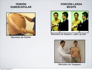 TENDÓN
SUBESCAPULAR
PORCIÓN LARGA
BÍCEPS
Maniobra de Gerber
Maniobra de Speed o palm up test
Maniobra de Yergason
jueves, 8 de mayo de 14
 