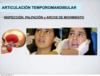 ARTICULACIÓN TEMPOROMANDIBULAR
— INSPECCIÓN, PALPACIÓN y ARCOS DE MOVIMIENTO:
jueves, 8 de mayo de 14
 