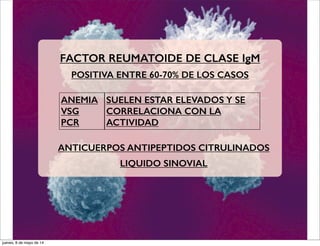 FACTOR REUMATOIDE DE CLASE IgM
POSITIVA ENTRE 60-70% DE LOS CASOS
ANEMIA
VSG
PCR
SUELEN ESTAR ELEVADOS Y SE
CORRELACIONA CON LA
ACTIVIDAD
ANTICUERPOS ANTIPEPTIDOS CITRULINADOS
LIQUIDO SINOVIAL
jueves, 8 de mayo de 14
 