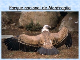 Parque nacional de Monfragüe

 