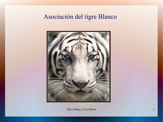 Edu Alabau y Eva Menor 1
Asociación del tigre Blanco
 