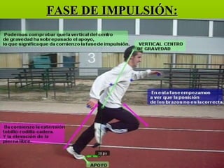 FASE DE IMPULSIÓN: 