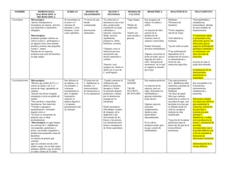 NOMBRE MORFOLOGÍA
MACROSCÓPICA/
MICROSCÓPICA
HÁBITAT MEDIOS DE
TRANSMISIÓN
SIGNOS Y
SÍNTOMAS
MEDIOS DE
CULTIVO
BIOQUÍMICA DIAGNÓSTICO TRATAMIENTO
Clostridium Microscópica:
bacilos Grampositivos
formadores de esporas, móviles,
son anaerobios o anaerobios
obligados
Macroscópica:
producen grandes colonias en
relieve (como C. perfringens) o
en algunos otros casos pueden
producir colonias más pequeñas
(como C. tetani).
Muchas de sus especies
producen una zona de hemólisis
en agar sangre
Se encuentran en
la tierra o el
intestino de
animales y seres
humanos, viven
como saprófitos
*A través de una
herida
contaminada
Intoxicación
alimentaria
*La infección se
disemina en uno a tres
días, produciendo
crepitación en tejido
subcutáneo y
músculo; secreción
fétida, necrosis
rápidamente
progresiva, fiebre,
hemólisis, toxemia.
*Algunas veces la
infección provoca
únicamente una
fascitis anaerobia o
celulitis
*diarrea y casi
siempre sin vómito ni
fiebre (en el caso de
C. perfringens)
*Agar Sangre
*Medio de
tioglicolato
*medio con
carne picada y
glucosa
Son incapaces de
reducir el sulfato a
sulfito
La mayoría de ellos
carecen de la
producción de
enzimas como la
catalasa y peroxidasa
Pueden fermentar
diversos carbohidratos
Algunos convierten la
leche en ácido, que es
digerido por otras y
sufre “fermentación
tormentosa” en el cual
el coágulo es disuelto
por el gas
Mediante:
*Presencia de
hemólisis
*Frotis sangiíneo:
tinción de Gram
*actividad de la
lectinasa
*acción sobre la leche
*Una confirmación
dependiente de la
producción de toxina y
su neutralización a
través de una
antitoxina específica
*Susceptibilidad a
clindamicina,
metronidazol, además
de otras medidas de
mantenimiento
El tratamiento rápido
es primordial en las
infecciones graves, las
infecciones graves
requieren desbridación
quirúrgica inmediata y
un tratamiento con
dosis elevadas de
penicilina
escisión de todo el
tejido desvitalizado
el tratamiento de las
intoxicaciones
alimentarias es
sintomático
Corynebacterium Microscópica:
*Bacilos que miden de 0.5 a 1
micras de ancho y de 2 a 3
micras de largo, agrupados en
cadenas.
*poseen una forma irregular,
semejantes a la de un palillo de
tambor
*Son aerobias o anaerobias
facultativas, Son inmóviles
*Tienden a agruparse
paralelamente o formando
ángulos entre si
*en frotis se encuentran los
gránulos que se tiñen
profundamente
Macroscópica: en agar Sangre,
las colonias de C. diphtheriae
son pequeñas, granulosas y
grises, con bordes irregulares y
pueden tener pequeñas zonas de
hemólisis.
En telurita de potasio que
contiene
agar las colonias son de color
pardo a negro con un halo negro
pardusco debido a que la telurita
se reduce dentro de la célula
Son ubicuas en
las plantas y en
los animales, y
colonizan
normalmente la
piel, el aparato
respiratorio
superior, el
aparato digestivo
y el aparato
genitourinario del
ser humano
El reservorio de
C. diphtheriae es
humano. La
forma primaria
de transmisión es
la vía respiratoria
Cuando comienza la
inflamación por
difteria se presenta
faringitis y fiebre.
Se presenta después
postración y disnea
por la obstrucción
causada por la
membrana
Puede presentarse
dificultades visuales,
de lenguaje, de la
deglución o del
movimiento de los
brazos o las piernas
Las manifestaciones
tienen a desaparecer
de forma espontánea
*AGAR
SANGRE
*AGAR
TELURITA
DE POTASIO
Son catalasa-positivas
La mayoría de las
especies, pero no
todas, fermentan los
carbohidratos y
generan moléculas
ácido láctico.
Algunas especies
necesitan
complementos
lipídicos para
desarrollarse
adecuadamente
En el cultivo
producen ácido, pero
no gas, a partir de
carbohidratos
Una cepa presuntiva
de C. diphtheriae debe
someterse a pruebas de
toxigenicidad.
Mediante:
*un disco de papel
filtro que contiene
antitoxina se coloca en
una placa de agar, esto
precipita la toxina que
se difunde desde los
cultivos toxígenos
(método de elek
modificado)
*reacción de la cadena
polimerasa para la
detección del gen de la
toxina difteria
polimerasa
Son susceptibles a la
Eritromicina,
claritromicina,
clindamicina y
penicilina.
Infecciones tratadas
con antitoxina diftérica
para neutralizar la
exotocina; utilización
de penicilina o
eritromicina para
eliminar C.
Diphtheriae y acabar
con la producción de
toxina y vacunación de
pacientes
convalecientes con el
toxicoide diftérico con
el fin de estimular la
formación de
anticuerpos resistentes.
Administración de la
vacuna diftérica
 