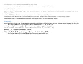 Crepitación: Ruido que se produce al crepitar algo, en especial, el que produce la leña al quemarse.
Desbridación: El desbridamiento o aseo quirúrgico es la eliminación del tejido muerto, dañado o infectado para mejorar la salubridad del tejido restante.
Disnea: Ahogo o dificultad en la respiración.
Disuria: Dificultad o dolor en la evacuación de la orina.
Paliativo: es un adjetivo que se emplea para nombrar a aquello que aminora, alivia o amortigua los efectos de algo. Al apelar a un paliativo, la persona busca suavizar o mitigar una consecuencia de algo que, por uno u otro
motivo, no se puede eliminar.
Postración: Estado de abatimiento o decaimiento en que se encuentra una persona por causa de una enfermedad o un sentimiento de gran tristeza.
Tenesmo: Contracción violenta y dolorosa que sufre un órgano, especialmente el recto y la vejiga urinaria, para expulsar o expeler alguna cosa; se acompaña de la sensación de vaciado incompleto.
Toxemia: Enfermedad causada por la diseminación de bacterias y sus toxinas en el torrente sanguíneo. También se llama intoxicación de la sangre y septicemia.
Bibliografía
Becton Dickinson. (2003). BD Campylobacter Agar (Butzler)ƒ BD Campylobacter Agar (Skirrow). Recuperado el 1 de abril de 2020, de
https://legacy.bd.com/europe/regulatory/Assets/IFU/HB/CE/PA/ES-PA-254464.pdf
Jawetz, Melnick, & Adelberg. (2010). Microbiologia médica. México, D.F.: McGRAW-HILL.
Murray, P. (2013). Microbiología médica. Elsevier.
Sabalete, D. T. (2013). Campylobacter jejuni. Recuperado el 1 de abril de 2020, de
http://fundacionio.org/img/bacteriology/cont/campylobacter%20jejuni.html
 