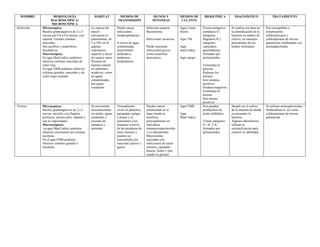NOMBRE MORFOLOGÍA
MACROSCÓPICA/
MICROSCÓPICA
HÁBITAT MEDIOS DE
TRANSMISIÓN
SIGNOS Y
SÍNTOMAS
MEDIOS DE
CULTIVO
BIOQUÍMICA DIAGNÓSTICO TRATAMIENTO
Klebsiella Microscópica:
Bacilos gramnegativos de 2 a 3
micras por 0.4 a 0.6 micras, con
cápsula. Forman colonias
mucoides.
Son aerobios y anaerobios
facultativos.
Macroscópica:
En agar MacConkey podemos
observar colonias mucoides de
color rosa.
En agar EMB podemos observar
colonias grandes, mucoides y de
color negro azulado
La especie de
mayor
relevancia es
pneumoniae, de
5 a 10% en el
aparato
respiratorio
superior y heces
de sujetos sanos
Presente de
manera natural
en ambientes
acuáticos, como
en aguas
contaminadas
por aguas
residuales
Puede causar
infecciones
intrahospitalarias
A través de agua
contaminada,
mayormente
atribuido a
ambientes
hospitalarios
Infección urinaria
Bacteriemia
Infecciones invasivas
Puede ocasionar
infecciones graves
como neumonía
destructiva
Agar Lisina
Hierro
Agar TSI
Agar
macConkey
Agar sangre
Poseen antígenos
somáticos O,
antígenos
flagelares H y
antígenos
capsulares,
generalmente
formados por
polisacáridos
Fermentan la
glucosa
Reducen los
nitratos
Son catalasa-
positivos
Oxidasa-negativos
Fermentan la
lactosa
Son ureasa-
positivos
Se realiza con base en
la identificación de la
bacteria en medios de
cultivo, en muestras
procedentes de los
tejidos infectados
Son susceptibles a
trimetroprim-
sulfametoxazol y
cefalosporinas de tercera
generación combinadas con
aminoglucósidos
Proteus Microsopicas:
Bacilos gramnegativos de 2 a 3
micras, móviles, con flagelos
perítricos, poseen pilis, cápsula y
son no esporulados
Macroscópicas:
en agar MacConkey podemos
observar crecimiento de colonias
incoloras
En el agar EMB podemos
observar colonias grandes e
incoloras
Se encuentran
frecuentemente
en suelos, aguas
residuales y
excretas de
humanos y
animales
Normalmente
viven en parásitos,
garrapatas, pulgas
y piojos y se
transmiten a los
humanos a través
de las picaduras de
estos insectos y
pueden ser
transmitidos por
mascotas (perros y
gatos).
Pueden causar
enfermedad en el
lugar donde se
localicen,
principalmente en
individuos
inmunocomprometido
s y/o desnutridos
Mayormente
asociados con
infecciones de tracto
urinario, causando
disuria, fiebre y mal
estado en general
Agar EMB
Agar
MacConkey
Son grandes
productores de
ácido sulhídrico
Tienen antígenos
O , H Y K
formados por
polisacáridos
Basado en el cultivo
de la muestra de donde
se encuentre la
bacteria
Algunos laboratorios
utilizan la
serotipificación para
conocer su identidad
Se utilizan aminoglucósidos,
betalactámicos, así como
cefalosporinas de tercera
generación
 