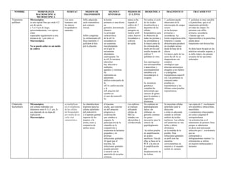 NOMBRE MORFOLOGÍA
MACROSCÓPICA/
MICROSCÓPICA
HÁBITAT MEDIOS DE
TRANSMISIÓN
SIGNOS Y
SÍNTOMAS
MEDIOS DE
CULTIVO
BIOQUÍMICA DIAGNÓSTICO TRATAMIENTO
Treponema
pallidum
Microscópica:
es una espiral fina que mide 0.2
μm de ancho
y 5 a 15 μm de largo,
aproximadamente. Las espiras
estan
espaciadas regularmente a una
distancia de 1 μm entre sí.
Macroscópica:
No se puede asilar en un medio
de cultivo
Los seres
humanos son
los únicos
hospedadores
naturales
Siflis adquirida:
suele transmitirse
por contacto
sexual,
Sifilis congénita:
La embarazada sifi
litica transmite T.
pallidum al feto
por la placenta
la lesión
primaria es una úlcera
en
genitales denominada
chancro.
La principal
característica
de la sífi lis
secundaria es
un exantema
maculopapular
en el que se
encuentran
abundantes
espiroquetas. En
la sífi lis terciaria
(derecha)
hay afección a
múltiples
aparatos y sistemas.
Se
representa un
aneurisma
aórtico como parte de
la
sífi lis cardiovascular
y la
infl amación del
cerebro en
el caso de neurosífi
lis.
nunca se ha
logrado el
cultivo de T.
pallidum
patogeno en
medios artifi
ciales, huevos
fecundados o
cultivos
de tejido.
No realiza el ciclo
de los ácidos
tricarboxilicos y
dependen de las
células
hospedadoras para
la obtención de
todas las purinas y
las pirimidinas y
la mayor parte de
los aminoácidos,
razón por la cual
resulta incapaz de
cultivar T.
pallidum in vitro
Las espiroquetas
son microaerófilas
o anaerobias y
extremadamente
sensibles a la
toxicidad por el
oxígeno.
La secuencia
genómica
completa ha
demostrado que
carecen de genes
para la catalasa o
superóxido
dismutasa
T. pallidum puede
observarse en la
microscopia de campo
oscuro
en las lesiones
primarias y
secundarias. La
lesión sospechosa debe
limpiarse y causar
abrasión para producir
un exudado seroso
desde la base de la
úlcera.
La mayor parte de los
casos de sífi lis se
diagnostican con
estudios
serológicos que
detectan anticuerpos
dirigidos a los lípidos
o a antígenos
treponémicos específi
cos. Las primeras se
conocen como
pruebas no
treponémicas y las
últimas como pruebas
treponémicas.
T. pallidum es muy sensible
a la penicilina, que es el
tratamiento preferido
en todas las etapas. En
personas con sífilis
primaria, secundaria
o latente que son
hipersensibles a la penicilina
puede darse
tratamiento con doxiciclina.
Se debe hacer hicapié en las
prácticas sexuales seguras, y
se debe tratar a las parejas
sexuales de los pacientes
infectados
Chlamydia
trachomaris
Microscópica:
son células redondas con
diámetros entre 0.3 y 1 μm, lo
que depende de su etapa de
replicación
Macroscópica:
se multiplican
en el citoplasma
de las células
del hospedador
por medio de un
ciclo vital
característico.
La clamidia tiene
tropismo para las
células epiteliales
del endocérvix
y el aparato genital
superior de las
mujeres y la
uretra, recto y
conjuntiva de
ambos sexos.
el tracoma
ocular, que consiste
en infl amación
progresiva y
cicatrización
que conduce a
ceguera, la
participación de la
clamidia en la
conjuntivitis y
neumonía en lactantes
pequeños y en
diversas
infecciones genitales.
Al igual que el
tracoma, las
infecciones genitales
pueden persistir
o recurrir con la
aparición de secuelas
crónicas.
Los cultivos
se realizan
utilizando
células de
McCoy
tratadas con
idoxuridina y
cicloheximida
.
No contiene un
peptidoglucano
típico; sin
embargo, su
genoma contiene
los genes
necesarios para la
síntesis de
peptidoglucano.
Se utiliza prueba
de amplificación
de ácidos
nucléicos. Una de
ellas se basa en la
PCR y la otra en
la amplificación
del
desplazamiento de
las hebras.
Se necesitan células
epiteliales para la
detección.
a orina es adecuada
cuando se utilizan
análisis de ácidos
nucleicos. Las células
infl amatorias no son
útiles y deben
eliminarse
en la medida de lo
posible. Para
infecciones genitales
se prefi eren las
muestras
cervicouterinas en
mujeres y el raspado
uretral en varones.
Las cepas de C. trachomatis
son sensibles a tetraciclinas,
macrólidos
y compuestos relacionados,
así como a algunas fl
uoroquinolonas.
La azitromicina es el
tratamiento de primera línea
porque se administra
en dosis oral única para
infección por C. trachomatis
que no
corresponde a
linfogranuloma venéreo. La
eritromicina se utiliza
en mujeres embarazadas y
lactantes
 