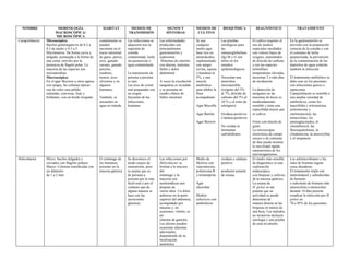 NOMBRE MORFOLOGÍA
MACROSCÓPICA/
MICROSCÓPICA
HÁBITAT MEDIOS DE
TRANSMISIÓN
SIGNOS Y
SÍNTOMAS
MEDIOS DE
CULTIVO
BIOQUÍMICA DIAGNÓSTICO TRATAMIENTO
Campylobacter Microscópica:
Bacilos gramnegativos de 0.2 a
0.5 de ancho y 0.5 a 5.
Micrómetros. De forma curva y
delgada, asemejada a la forma de
una coma, móviles por la
presencia de flagelo polar. La
mayoría de las especies son
microaerobias
Macroscópica:
En el agar Skyrrow u otros agares
con sangre, las colonias típicas
son de color rosa pálido,
redondas, convexas, lisas y
brillantes, con un borde irregular.
comúnmente se
pueden
encontrar en el
tracto intestinal
de gatos, perros,
aves, ganado
vacuno, ganado
porcino,
roedores,
monos, aves
silvestres y en
algunos
humanos.
También, se
encuentra en
agua no tratada
Las infecciones se
adquieren tras la
ingestión de
comida
contaminada, leche
sin pasteurizar o
agua contaminada
La transmisión de
persona a persona
es rara
Las aves de corral
mal preparadas son
un origen
frecuente de las
infecciones
humanas
Las enfermedades
producidas son
principalmente
gastroenteritis y
septicemia
Síntomas de enteritis
con diarrea, malestar,
fiebre y dolor
abdominal
A veces la circulación
sanguínea es invadida
y se presenta un
cuadro clínico de
fiebre intestinal
Se usa
cualquier
medio agar
base rico en
aminoácidos,
suplementado
con sangre
(ovina, equina
o humana) al
5%, y una
mezcla
antibiótica
para inhibir la
flora
acompañante
Agar Brucella
Agar Butzler
Agar Skirrow
Las pruebas
serológicas para
las
inmunoglobulinas
(Ig) M y G son
útiles en los
estudios
epidemiológicos.
Necesitan una
atmósfera
microaerófila
(oxígeno del 5%
al 7%, dióxido de
carbono del 5% al
10 % y el resto de
nitrógeno)
Oxidasa-positivos
Catalasa-positivos
No oxidan ni
fermentan
carbohidratos
El cultivo requiere el
uso de medios
especiales incubados
con valores bajos de
oxígeno, aumentados
de dióxido de carbono
y (en las especies
termófilas)
temperaturas elevadas,
necesitan 2 o más días
de incubación
La detección de
antígenos en las
muestras de heces es
moderadamente
sensible y tiene una
especifidad mayor que
el cultivo
Frotis con tinción de
gram.
La microscopía
electrónica de campo
oscuro o de contraste
de fase puede mostrar
la movilidad rápida
caracteristica de los
microorganismos
En la gastroenteritis se
previene con la preparación
correcta de la comida y con
el consumo de leche
pasteurizada; la prevención
de la contaminación de los
depósitos de agua controla
también la infección
El tratamiento antibiótico se
debe usar en los pacientes
con infecciones graves o
septicemia.
Campylobacter es sensible a
una amplia variedad de
antibióticos, como los
macrólidos ( eritromicina,
azitromicina y
claritromicina), las
tetraciclinas, los
aminoglucósidos, el
cloranfenicol, las
fluoroquinolonas, la
clindamicina, la amoxicilina
y el imipenem
Helicobacter Micro: bacilos delgados y
curvados con flagelos polares
Macro: Colonias translúcidas con
un diámetro
de 1 a 2 mm
El estómago de
los humanos,
presente en la
mucosa gástrica
Se desconoce el
modo exacto de
transmisión, pero
se asume que es
de persona a
persona por la ruta
fecal-oral o por el
contacto que de
alguna manera se
hace con las
secreciones
gástricas.
Las infecciones por
Helicobacter se
limitan a la mucosa
del
estómago y la
mayoría son
asintomáticas aun
después de
varios años. Un dolor
ardoroso en la parte
superior del abdomen,
acompañado por
náuseas y, en
ocasiones, vómito, es
un
síntoma de gastritis.
Las úlceras pueden
ocasionar síntomas
adicionales,
dependiendo de su
localización
anatómica.
Medio de
Skirrow con
vancomicina,
polimixina B
y trimetoprim
Agar
chocolate
Medios
selectivos con
antibióticos
oxidasa y catalasa
positivo
productor potente
de ureasa
El medio más sensible
de diagnóstico es una
exploración
endoscópica
con biopsias y cultivos
de la mucosa gástrica.
La ureasa de
H. pylori es tan
potente que su
actividad se puede
demostrar de
manera directa en las
biopsias en menos de
una hora. Los métodos
no invasivos incluyen
serología y una prueba
de urea en aliento.
Los antimicrobianos y las
sales de bismuto logran
curas duraderas.
El tratamiento triple con
metronidazol y subsalicilato
de bismuto
o subcitrato de bismuto más
amoxicilina o tetraciclina
durante 14 días permite
erradicar la infección por H.
pylori en
70 a 95% de los pacientes.
 