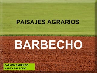 PAISAJES AGRARIOS



      BARBECHO
CARMEN BARRIUSO
MARTA PALACIOS
 