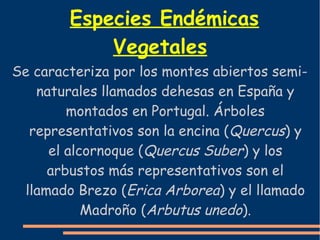 Especies Endémicas 
Vegetales 
Se caracteriza por los montes abiertos semi-naturales 
llamados dehesas en España y 
montados en Portugal. Árboles 
representativos son la encina (Quercus) y 
el alcornoque (Quercus Suber) y los 
arbustos más representativos son el 
llamado Brezo (Erica Arborea) y el llamado 
Madroño (Arbutus unedo). 
 