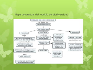 Mapa conceptual del modulo de biodiversidad
 