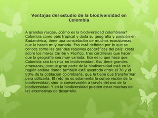 Ventajas del estudio de la biodiversidad en
                    Colombia


A grandes rasgos, ¿cómo es la biodiversidad colombiana?
Colombia como país tropical y dada su geografía y posición en
Sudamérica, tiene una constelación de muchos ecosistemas
que la hacen muy variada. Eso está definido por lo que se
conoce como las grandes regiones geográficas del país: costa
sobre los mares Caribe y Pacífico, tres cordilleras que hacen
que la geografía sea muy variada. Eso es lo que hace que
Colombia sea tan rica en biodiversidad. Eso tiene grandes
amenazas, porque gran parte de la biodiversidad está en la
región andina donde también está asentado entre el 70 y el
80% de la población colombiana, que la tiene que transformar
para utilizarla. El reto no es solamente la conservación de la
biodiversidad, sino la conservación a través del uso de la
biodiversidad. Y en la biodiversidad pueden estar muchas de
las alternativas de desarrollo.
 