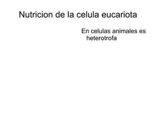 Nutricion de la celula eucariota ,[object Object]