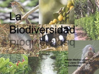 La
Biodiversidad

          Fabián Medina Lorenzo.
          Ana López González.
          1º Bachillerato.
 