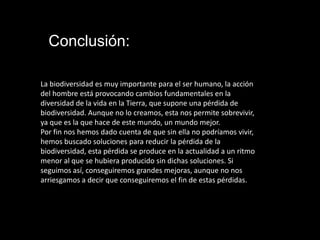 Conclusión:

La biodiversidad es muy importante para el ser humano, la acción
del hombre está provocando cambios fundamentales en la
diversidad de la vida en la Tierra, que supone una pérdida de
biodiversidad. Aunque no lo creamos, esta nos permite sobrevivir,
ya que es la que hace de este mundo, un mundo mejor.
Por fin nos hemos dado cuenta de que sin ella no podríamos vivir,
hemos buscado soluciones para reducir la pérdida de la
biodiversidad, esta pérdida se produce en la actualidad a un ritmo
menor al que se hubiera producido sin dichas soluciones. Si
seguimos así, conseguiremos grandes mejoras, aunque no nos
arriesgamos a decir que conseguiremos el fin de estas pérdidas.
 
