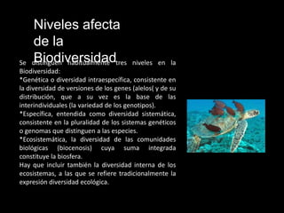 Niveles afecta
    de la
Se  Biodiversidad
    distinguen habitualmente tres        niveles en la
Biodiversidad:
*Genética o diversidad intraespecífica, consistente en
la diversidad de versiones de los genes (alelos( y de su
distribución, que a su vez es la base de las
interindividuales (la variedad de los genotipos).
*Específica, entendida como diversidad sistemática,
consistente en la pluralidad de los sistemas genéticos
o genomas que distinguen a las especies.
*Ecosistemática, la diversidad de las comunidades
biológicas (biocenosis) cuya suma integrada
constituye la biosfera.
Hay que incluir también la diversidad interna de los
ecosistemas, a las que se refiere tradicionalmente la
expresión diversidad ecológica.
 