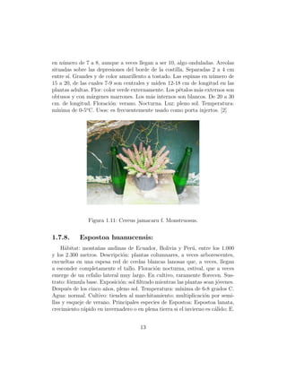 en n´mero de 7 a 8, aunque a veces llegan a ser 10, algo onduladas. Areolas
     u
situadas sobre las depresiones del borde de la costilla. Separadas 2 a 4 cm
entre s´ Grandes y de color amarillento a tostado. Las espinas en n´mero de
       ı.                                                           u
15 a 20, de las cuales 7-9 son centrales y miden 12-18 cm de longitud en las
plantas adultas. Flor: color verde externamente. Los p´talos m´s externos son
                                                      e       a
obtusos y con m´rgenes marrones. Los m´s internos son blancos. De 20 a 30
                 a                         a
cm. de longitud. Floraci´n: verano. Nocturna. Luz: pleno sol. Temperatura:
                          o
m´ınima de 0-5o C. Usos: es frecuentemente usado como porta injertos. [2]




               Figura 1.11: Cereus jamacaru f. Monstruosus.


1.7.8.      Espostoa huanucensis:
    H´bitat: monta˜as andinas de Ecuador, Bolivia y Per´, entre los 1.000
      a             n                                        u
y los 2.300 metros. Descripci´n: plantas columnares, a veces arborescentes,
                              o
envueltas en una espesa red de cerdas blancas lanosas que, a veces, llegan
a esconder completamente el tallo. Floraci´n nocturna, estival, que a veces
                                             o
emerge de un cefalio lateral muy largo. En cultivo, raramente ﬂorecen. Sus-
trato: f´rmula base. Exposici´n: sol ﬁltrado mientras las plantas sean j´venes.
        o                    o                                           o
Despu´s de los cinco a˜os, pleno sol. Temperatura: m´
       e               n                               ınima de 6-8 grados C.
Agua: normal. Cultivo: tienden al marchitamiento; multiplicaci´n por semi-
                                                                  o
llas y esqueje de verano. Principales especies de Espostoa: Espostoa lanata,
crecimiento r´pido en invernadero o en plena tierra si el invierno es c´lido; E.
              a                                                        a


                                      13
 
