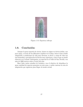 Figura 1.15: Espostoa ruﬁceps



1.8.     Conclusi´n:
                 o
    Aunque la gran mayor´ de c´ctus, tienen su origen en tierras aridas, con
                          ıa      a                                 ´
poca agua, a trav´s de los diferentes cambios en el clima, ´stas se han venido
                  e                                        e
adaptando a condiciones de vida muy diversas, es decir a, zonas de vida con
una humedad y precipitaci´n de lluvias muy superiores, como el que se puede
                           o
observar en el oriente Antioque˜o, en especial en el Valle de San Nicol´s, con
                                n                                       a
m´s de 2000 metros sobre el nivel del mar.
  a
    Hace falta varios estudios de bot´nica, con el objetivo de identiﬁcar la
                                       a
gran cantidad de especies presentes en esta zona, y poder rastrear la ruta de
adaptaci´n que siguieron para llegar al estado actual.
        o




                                     17
 