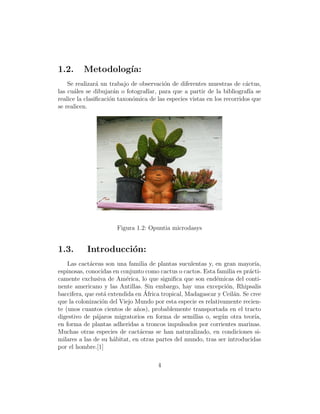1.2.      Metodolog´
                   ıa:
    Se realizar´ un trabajo de observaci´n de diferentes muestras de c´ctus,
                a                        o                               a
las cu´les se dibujar´n o fotograf´ para que a partir de la bibliograf´ se
       a               a          ıar,                                     ıa
realice la clasiﬁcaci´n taxon´mica de las especies vistas en los recorridos que
                     o       o
se realicen.




                       Figura 1.2: Opuntia microdasys


1.3.       Introducci´n:
                     o
    Las cact´ceas son una familia de plantas suculentas y, en gran mayor´
            a                                                               ıa,
espinosas, conocidas en conjunto como cactus o cactos. Esta familia es pr´cti-
                                                                         a
camente exclusiva de Am´rica, lo que signiﬁca que son end´micas del conti-
                          e                                 e
nente americano y las Antillas. Sin embargo, hay una excepci´n, Rhipsalis
                                                                 o
                  a              ´
baccifera, que est´ extendida en Africa tropical, Madagascar y Ceil´n. Se cree
                                                                   a
que la colonizaci´n del Viejo Mundo por esta especie es relativamente recien-
                 o
te (unos cuantos cientos de a˜os), probablemente transportada en el tracto
                              n
digestivo de p´jaros migratorios en forma de semillas o, seg´n otra teor´
               a                                               u            ıa,
en forma de plantas adheridas a troncos impulsados por corrientes marinas.
Muchas otras especies de cact´ceas se han naturalizado, en condiciones si-
                               a
milares a las de su h´bitat, en otras partes del mundo, tras ser introducidas
                      a
por el hombre.[1]

                                      4
 