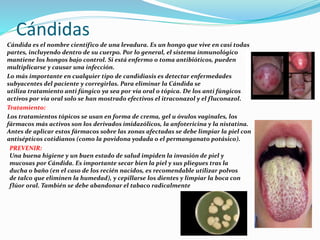 Cándidas
Cándida es el nombre científico de una levadura. Es un hongo que vive en casi todas
partes, incluyendo dentro de su cuerpo. Por lo general, el sistema inmunológico
mantiene los hongos bajo control. Si está enfermo o toma antibióticos, pueden
multiplicarse y causar una infección.
Lo más importante en cualquier tipo de candidiasis es detectar enfermedades
subyacentes del paciente y corregirlas. Para eliminar la Cándida se
utiliza tratamiento anti fúngico ya sea por vía oral o tópica. De los anti fúngicos
activos por vía oral solo se han mostrado efectivos el itraconazol y el fluconazol.
Tratamiento:
Los tratamientos tópicos se usan en forma de crema, gel u óvulos vaginales, los
fármacos más activos son los derivados imidazólicos, la anfotericina y la nistatina.
Antes de aplicar estos fármacos sobre las zonas afectadas se debe limpiar la piel con
antisépticos cotidianos (como la povidona yodada o el permanganato potásico).
PREVENIR:
Una buena higiene y un buen estado de salud impiden la invasión de piel y
mucosas por Cándida. Es importante secar bien la piel y sus pliegues tras la
ducha o baño (en el caso de los recién nacidos, es recomendable utilizar polvos
de talco que eliminen la humedad), y cepillarse los dientes y limpiar la boca con
flúor oral. También se debe abandonar el tabaco radicalmente
 