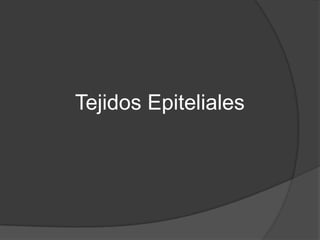 Tejidos Epiteliales
 