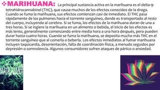 MARIHUANA: La principal sustancia activa en la marihuana es el delta-9-
tetrahidrocannabinol (THC), que causa muchos de los efectos conocidos de la droga.
Cuando se fuma la marihuana, sus efectos comienzan casi de inmediato. El THC pasa
rápidamente de los pulmones hacia el torrente sanguíneo, donde es transportado al resto
del cuerpo, incluyendo al cerebro. Si se fuma, los efectos de la marihuana duran de una a
tres horas. Si se ingiere la marihuana en un alimento o bebida, el inicio de los efectos es
más lento, generalmente comenzando entre media hora a una hora después, pero pueden
durar hasta cuatro horas. Cuando se fuma la marihuana, se deposita mucho más THC en el
torrente sanguíneo que al comerla o beberla. Los efectos inmediatos al fumar marihuana
incluyen taquicardia, desorientación, falta de coordinación física, a menudo seguidos por
depresión o somnolencia. Algunos consumidores sufren ataques de pánico o ansiedad.
 