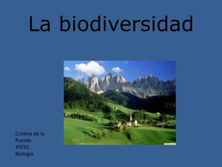 La biodiversidad


                   n




Cristina de la
Puente
4ºESO
Biología
 