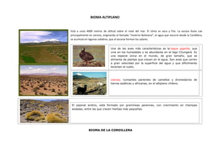 Trabajo biomas (1)