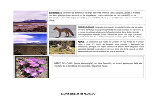 Trabajo biomas (1)