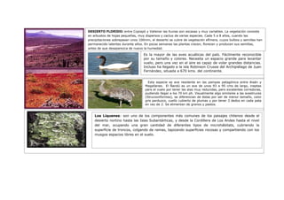 Trabajo biomas (1)
