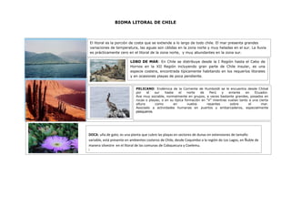 Trabajo biomas (1)