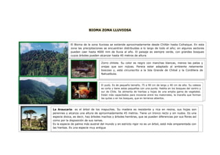 Trabajo biomas (1)