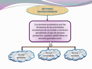 Sectores socioeconómicosLos sectores económicos son las divisiones de las actividades económicas de un estado o territorio  atendiendo al tipo de proceso productivo  pueden subdividirse en sectores parciales comoSectorsecundarioSector terciarioSector primarioSector primarioSector primario