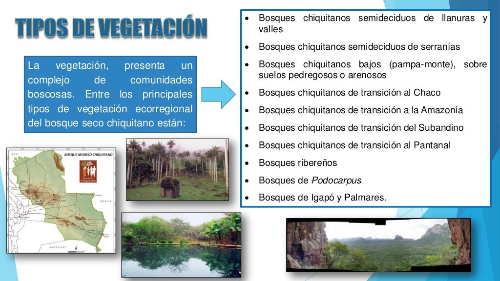 Bosque seco chiquitano