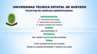 UNIVERSIDAD TÉCNICA ESTATAL DE QUEVEDO
FACULTAD DE CIENCIAS AGROPECUARIAS
INTEGRANTES:
 -JOHN DAVID RIVAS DUARTE
 -BORIS MANUEL VERA RENGIFO
 -NORMA VERONICA VERA TORALES
CURSO:
3RO ZOOTECNIA “B”
DOCENTE:
ING. FREDDY JAVIER GUEVARA SANTANA
TEMA:
-TIPOS DE INJERTOS EN LAS PLANTAS
-CÓMO SE ELABORA UN BONSAI Y CÓMO SE LO CUIDA
 