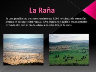 Las sierras.La RañaEs una gran llanura de aproximadamente 8.000 hectáreas de extensión situada en el sureste del Parque, cuyo origen es el relleno con materiales circundantes que se produjo hace unos 3 millones de años.